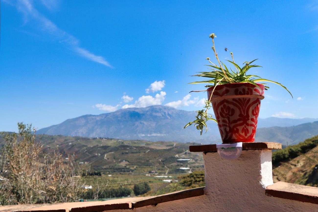 Casa Bambu Studios Velez Malaga Luaran gambar